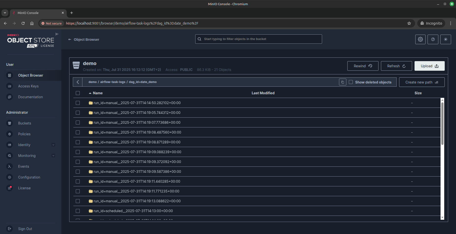 minio dag run logs